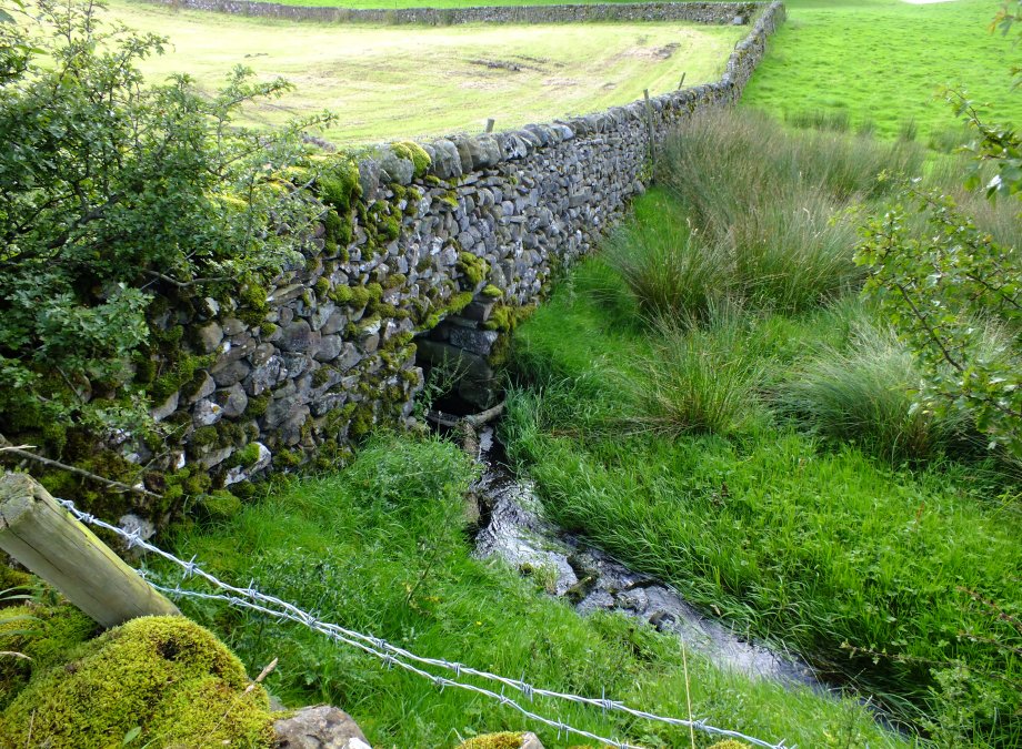 Yorkshire moors