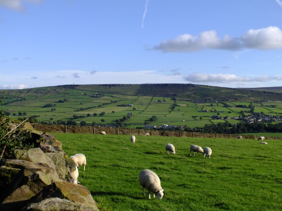 North Yorkshire countryside