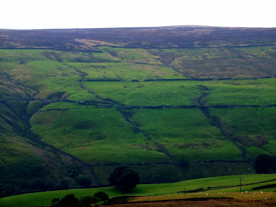 North Yorkshire countryside